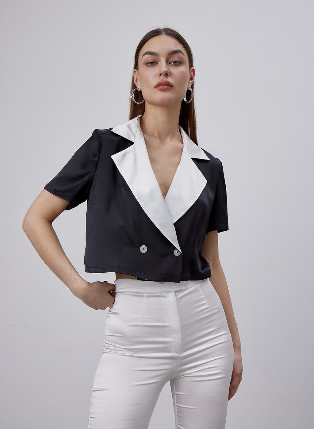 Notch Collar Short Sleeve Silk Blouse image 0