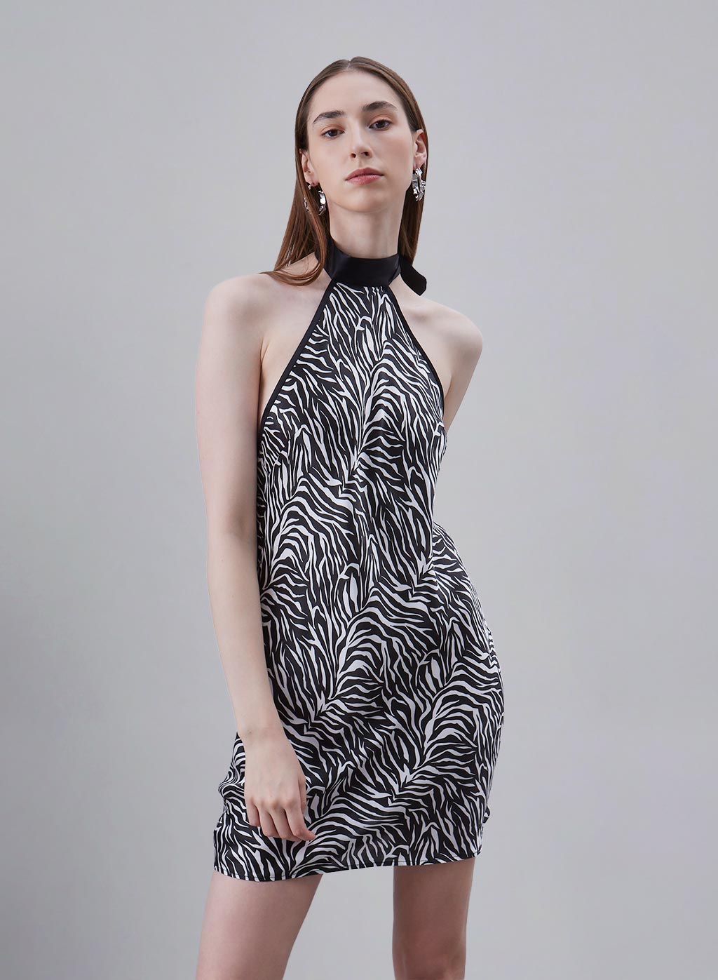 Printed A-line Silk Dress image 0