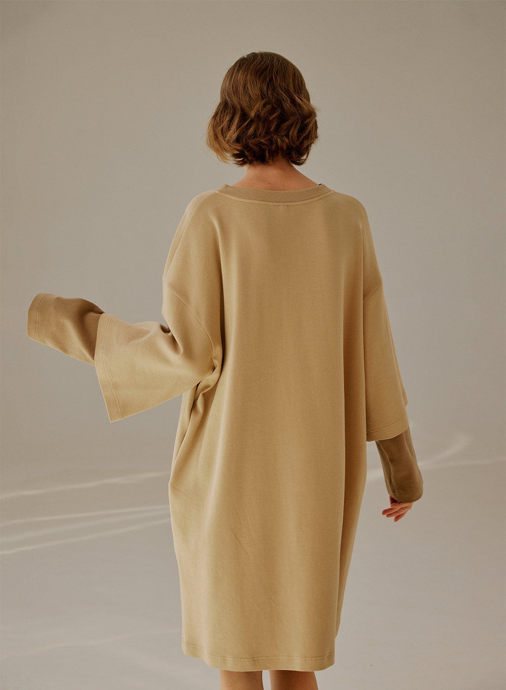 Double-Layer Long Sleeve Dress