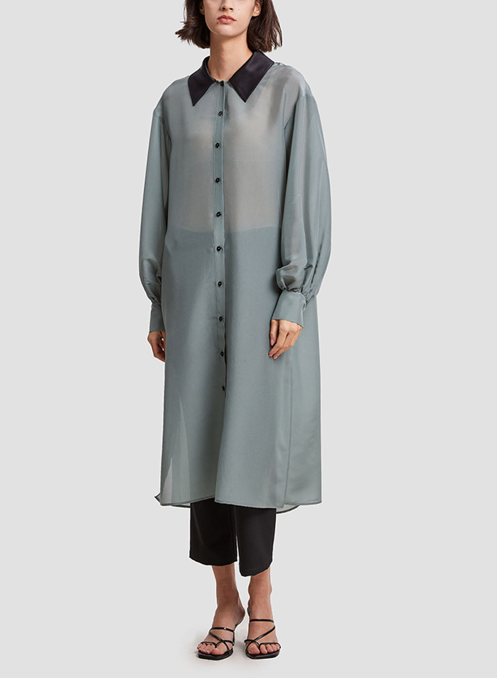 Sheer Shirt Dress - Link Water, L image