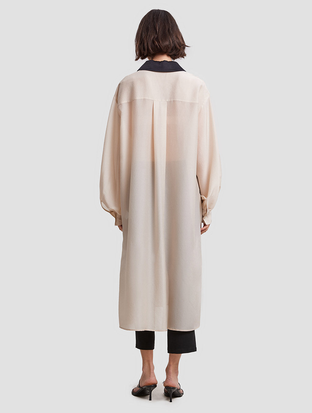 Sheer Shirt Dress image 1